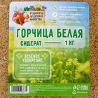 Семена Горчица белая "Рецепты дедушки Никиты", 1 кг - Фото 2