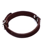 Ошейник замшевый двухслойный 1,2 см, ОШ 30-38 см, коричневый - фото 24610629