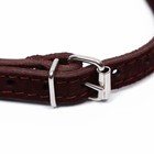 Ошейник замшевый двухслойный 1,2 см, ОШ 30-38 см, коричневый - фото 24610630