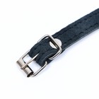 Ошейник замшевый двухслойный 1,2 см, ОШ 30-38 см, черный - фото 24267712