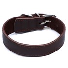 Ошейник кожаный двухслойный на замше, 2,5 см, ОШ 29-39, коричневый - фото 23186373