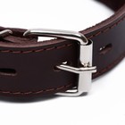 Ошейник кожаный двухслойный на замше, 2,5 см, ОШ 29-39, коричневый - фото 23186374