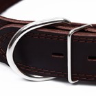 Ошейник кожаный двухслойный на замше, 3,5 см, ОШ 41-51 см, коричневый - фото 7851207