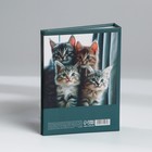 Фотоальбом в твердой обложке «Котята», 36 фото - Фото 6