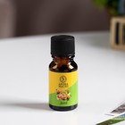 Эфирное масло «Дыня», 10 мл, Богатство Аромата - Фото 2