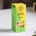 Эфирное масло «Дыня», 10 мл, Богатство Аромата - Фото 3