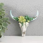 Сувенир полистоун настенный декор "Череп быка с кактусами" 2,6х11х12 см - Фото 1