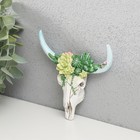 Сувенир полистоун настенный декор "Череп быка с кактусами" 2,6х11х12 см - Фото 2