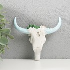 Сувенир полистоун настенный декор "Череп быка с кактусами" 2,6х11х12 см - Фото 3