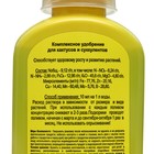 Жидкое комплексное удобрение «Цветочный рай» для кактусов и суккулентов, 200 мл - Фото 3