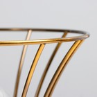 Настольная лампа RISALUX «Анетта», Е27, 40 Вт, золото, 16×16×23 см - Фото 4