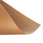 Крафт-бумага, 210 х 300 мм, 175 г/м2, набор 50 листов, коричневая/серая - фото 9739931