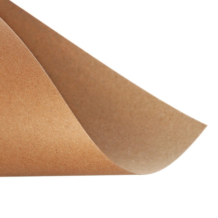 Крафт-бумага, 210 х 300 мм, 170 г/м2, набор 50л, коричневая