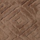 Плед «Ника», 200х205см, велсофт 250г/м, пэ100% - фото 23213756