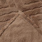 Плед «Ника», 200х205см, велсофт 250г/м, пэ100% - фото 23213758