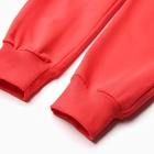 Комплект для девочки (толстовка, брюки) НАЧЕС, цвет красный, рост 116 см - Фото 2