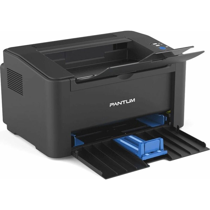 Принтер лазерный ч/б Pantum P2500, 1200x1200 dpi, А4, чёрный - фото 1882896017