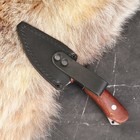 Нож кавказский "Качкар" сталь - 65Х13 - фото 23175955