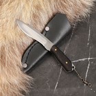 Нож кавказский "Хищник" сталь - 65Х13, рукоять - граб, 12см - фото 307126642