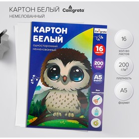 Картон белый А5 16л немел одност 200г/м²Calligrata, в папке