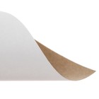 Картон белый А5, 16 листов, немелованный, плотность 200 г/м2, в папке - Фото 3