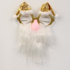 Карнавальные очки «Дед мороз» - Фото 1