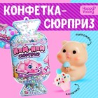 Игрушка-сюрприз «Ням-ням сюрприз», свинки МИКС - Фото 1