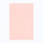 Матирующие салфетки «Девушка в платье», 100 шт. - Фото 7