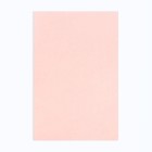 Матирующие салфетки «Девушка с розой», 100 шт. - Фото 7