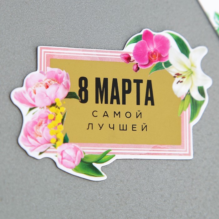 Магнит со скретч-слоем «Самой лучшей», 4,9 х 7 см 9802522