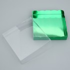 Коробка для печенья, кондитерская упаковка с PVC крышкой, «Зеленая», 15 х 15 х 3 см 9896420 - фото 14254770