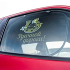 Шторки на окна авто "Удачной дороги!" (2 шт.) - Фото 2