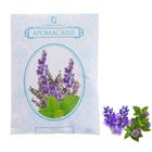 Аромасаше Queen Fair 20 гр "Лаванда и ментол" - Фото 1