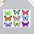 Голографические наклейки (стикеры) "Бабочки" 10х15 см, 5-216 - фото 7854455