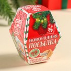 Печенье с предсказанием в коробке «Новогодняя посылка», 6 г. - фото 23359512