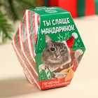 Печенье с предсказанием в коробке «Ты слаще мандаринок», 6 г. - фото 24400156