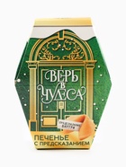 Печенье с предсказаниями на новый год в коробке «Верь в чудеса», 6 г - Фото 6