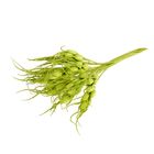 Декор для творчества "Колосок" (1 набор=1 букету) в букете 12 шт МИКС 14 см - Фото 1