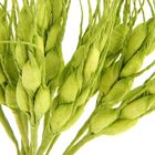 Декор для творчества "Колосок" (1 набор=1 букету) в букете 12 шт МИКС 14 см - Фото 3