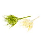 Декор для творчества "Колосок" (1 набор=1 букету) в букете 12 шт МИКС 14 см - Фото 2