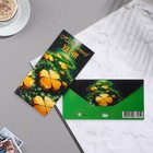 Конверт для денег "Невероятной удачи!" клевер, 17х8 см (комплект 10 шт) - фото 23232517