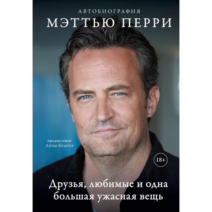 

Друзья, любимые и одна большая ужасная вещь. Перри М.