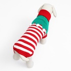 Свитер новогодний для животных «Ягодка», размер XS, ДС 20, ОШ 21, ОГ 30 см, красный, зелёный - Фото 3