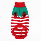 Свитер новогодний для животных «Ягодка», размер S, ДС 25, ОШ 24, ОГ 35 см, красный, зелёный - Фото 6