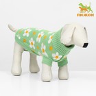 Свитер «Ромашки», размер S (ДС 25, ОШ 24, ОГ 35 см), зелёный - Фото 1