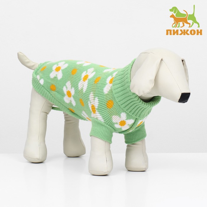 Свитер «Ромашки», размер S (ДС 25, ОШ 24, ОГ 35 см), зелёный - Фото 1