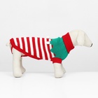 Свитер новогодний для животных «Ягодка», размер M, ДС 30, ОШ 27, ОГ 40 см, красный, зелёный - Фото 2