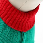 Свитер новогодний для животных «Ягодка», размер M, ДС 30, ОШ 27, ОГ 40 см, красный, зелёный - Фото 4