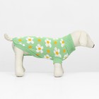 Свитер "Ромашки", размер M (ДС 30, ОШ 27, ОГ 40 см), зелёный - Фото 2