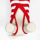 Свитер новогодний для животных «Ягодка», размер L, ДС 35, ОШ 30, ОГ 45 см, красный, зелёный - Фото 5